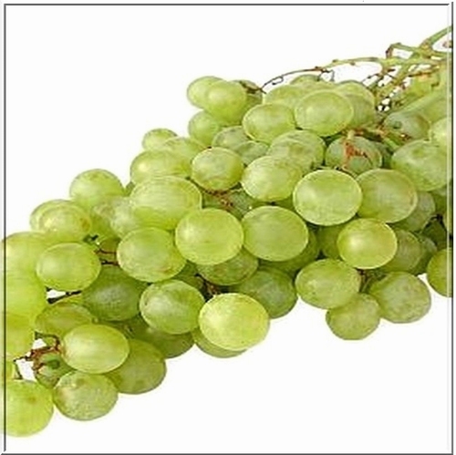Grape Vines 'Bianca'