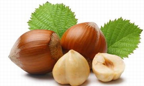 Hazelnuts 2 yr 60/100 cm  (Cor. avellana)