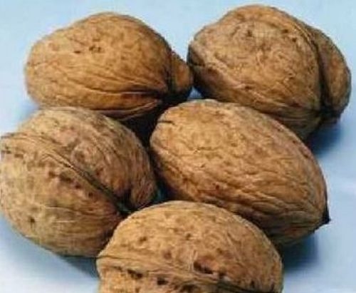 Walnut Broadview