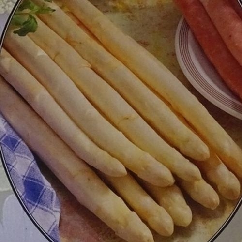 Spargelpflanzen Weiß