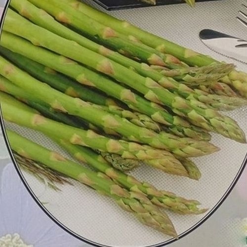 Spargelpflanzen Grün