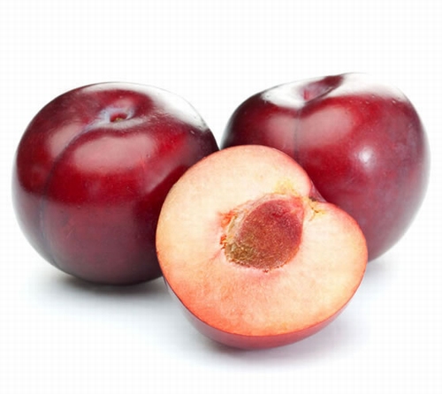 Pflaumenbaum  'Nektarine Pflaume'