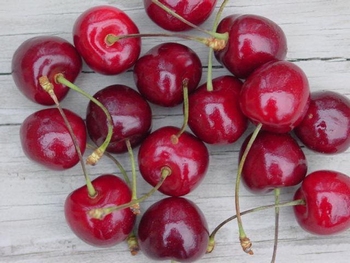 Acid Cherry 'Meikers'