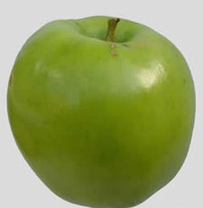 Apple 'Lombarts Calville'