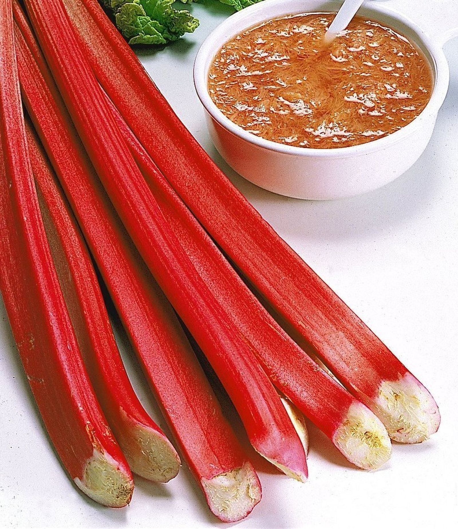 Rhubarbe